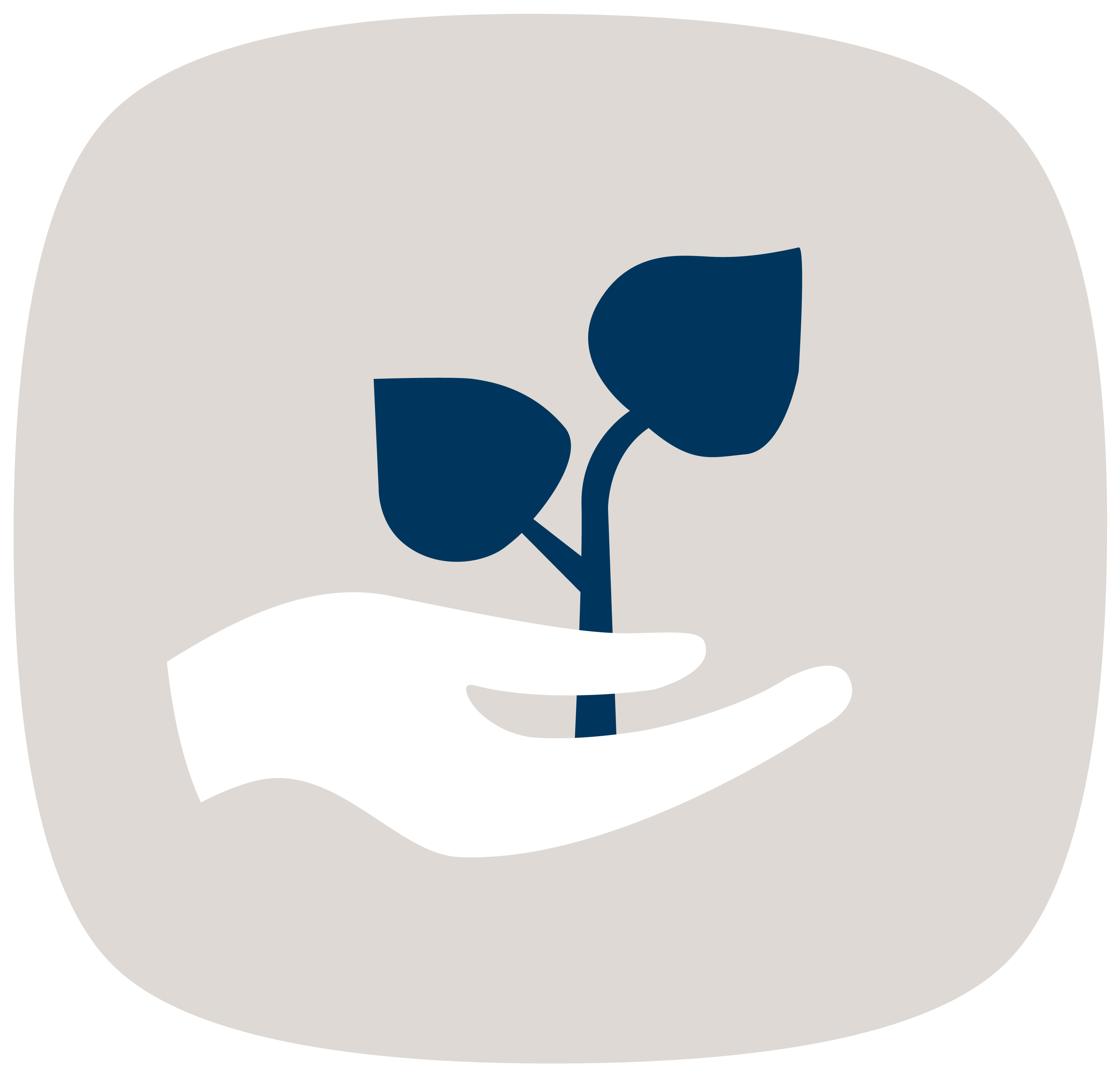 Eine Pflanze, die aus einer Hand wächst